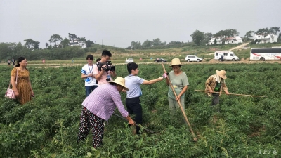 “改革开放，我的家乡”融媒体基层行活动走进我市