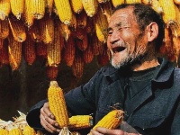 这一张张笑脸 洋溢着金秋九月丰收的喜悦