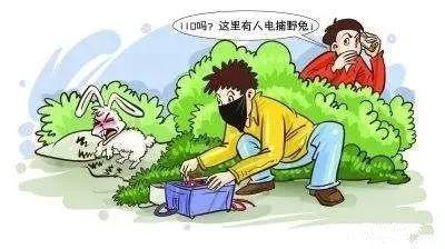 私设电网捕野味，误伤行人被起诉