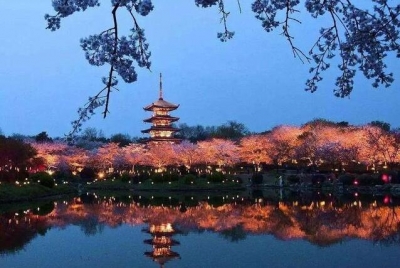  惟楚有才 湖北籍院士名单  广水有一人上榜 