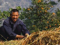 这一张张笑脸 洋溢着金秋九月丰收的喜悦