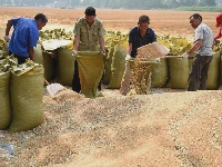 这一张张笑脸 洋溢着金秋九月丰收的喜悦