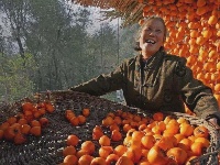 这一张张笑脸 洋溢着金秋九月丰收的喜悦