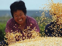 这一张张笑脸 洋溢着金秋九月丰收的喜悦