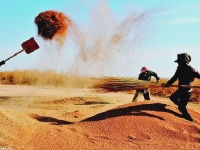 这一张张笑脸 洋溢着金秋九月丰收的喜悦