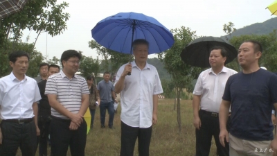 王建鸣到我市调研鄂北水资源配置工程时要求 确保如期完工 惠及沿线群众