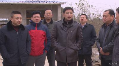 林常伦到我市督导“大棚房”问题专项清理整治工作