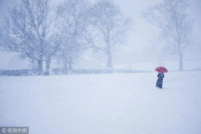 今日大雪