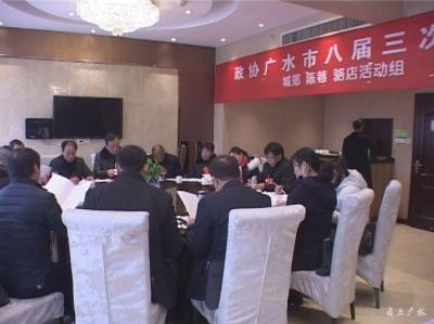 出席市政协八届三次会议的委员分组学习中央文件精神