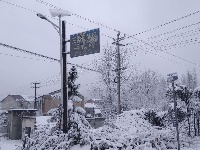 三潭美不美，只有雪知道