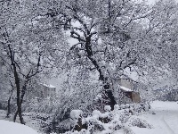 三潭美不美，只有雪知道
