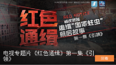 《红色通缉》第一集《引领》