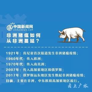 三全水饺被曝检出非洲猪瘟病毒！还有金锣、科迪、惠万家等