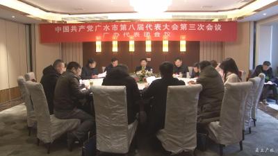 田涛参加广办代表团讨论 听取党代表的意见建议