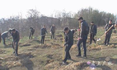 全民动手植树造林 共建绿色生态家园