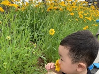 花丛旁 捕捉萌宝一枚