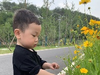 花丛旁 捕捉萌宝一枚