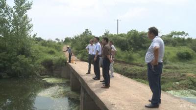 刘东到阳家细河流域巡河