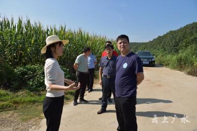 史洪波到李店镇调研督导抗旱救灾工作