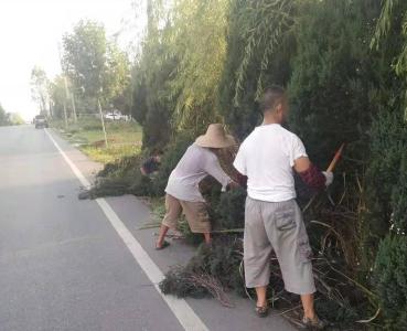 五清一改｜骆店：干群齐动手  让村庄自带“滤镜”美