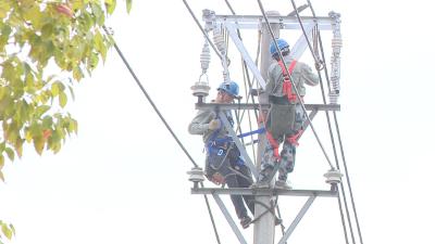 广水供电：电网“换心”为发展“充电”