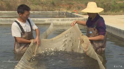 增殖放流｜我市向徐家河水库投放1400万尾鱼苗