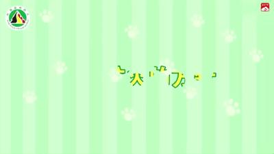 森林防火：预防为主 科学扑救