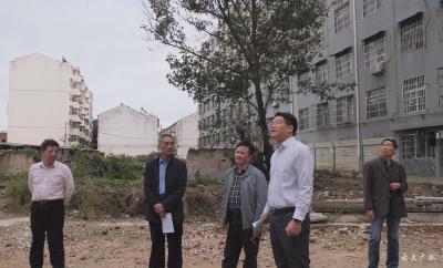 何胜调研督导“两违”清理整治工作