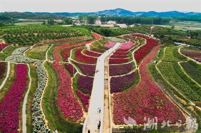 广水观音村入选“中国美丽休闲乡村”