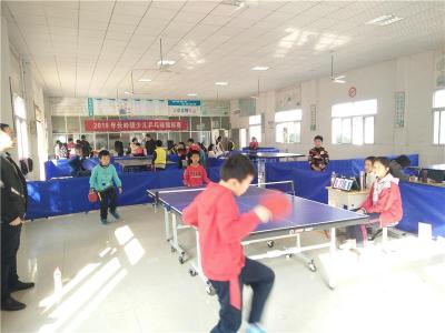 长岭镇举行2019年少儿乒乓球锦标赛