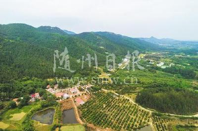 广水市“精准灭荒”在行动