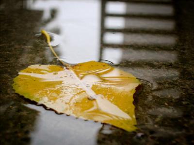 强冷空气即将来袭！湖北多地暴跌10℃！下周天气……