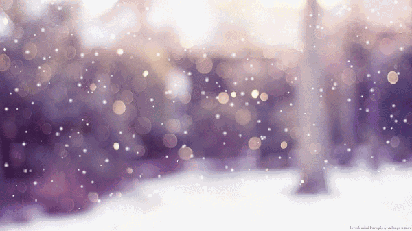 1月15日-16日我市迎来雨雪天气