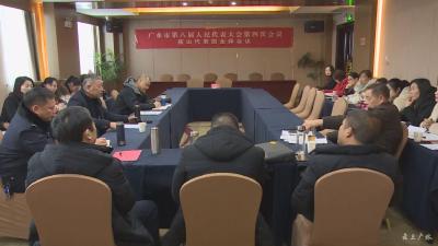 市八届人大四次会议分团讨论、审议常委会等三个报告