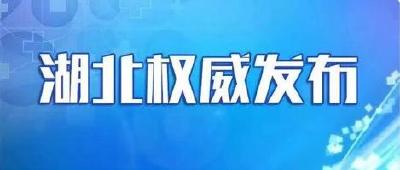 湖北省新型冠状病毒感染肺炎疫情防控指挥部会议要求 以战时状态应对疫情防控