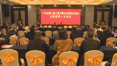 市八届人大四次会议主席团召开第一次会议