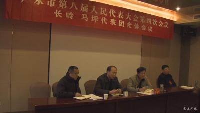 市第八届人民代表大会第四次会议分团讨论、审议三个报告