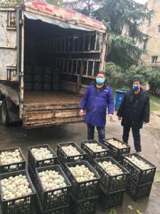 杨寨镇：贫困户倡议养鸭兄弟为疫战献爱心