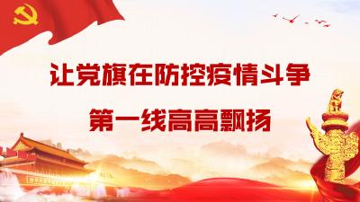 【让党旗在防控疫情斗争第一线高高飘扬】吴店：党员代办传温暖