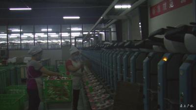 昌宏纺织：满负荷运转  全力生产国外订单