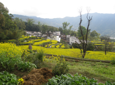 余店：“由家到厂”推行“点对点、一站式”返岗服务