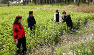 广水非贫困村“驻村帮带”全覆盖