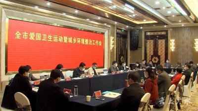 全市爱国卫生运动暨城乡环境综合整治工作会召开