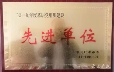广水市审计局基层党组织建设获表彰