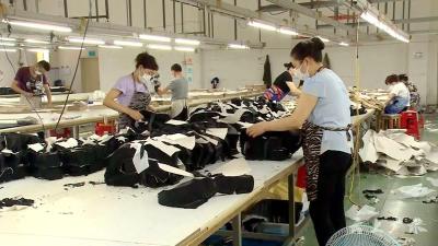 复工复产｜市安宏兄弟运动服饰：做精工艺  做强品质  拓展海外市场