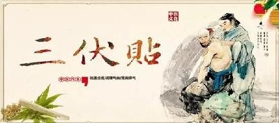 三伏贴今夏7月16日开贴了！