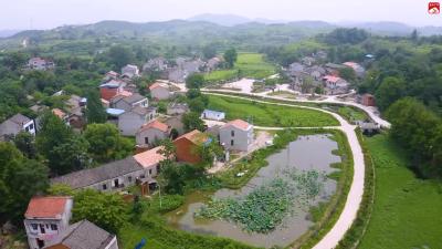 【视频】美丽乡村丨杨寨陈家湾-依山而建 伴水而居！