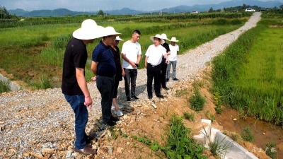 田涛调研高标准农田建设情况