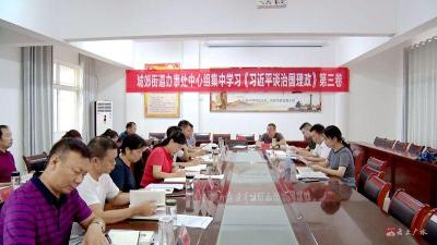 城郊街道办事处理论学习中心组开展专题研学活动