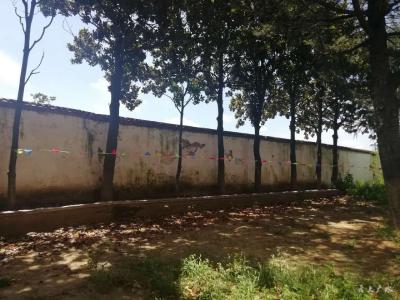十里宝林中学改造围墙筑安全长廊